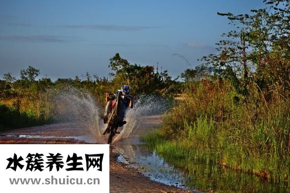 產門不開怎么辦
