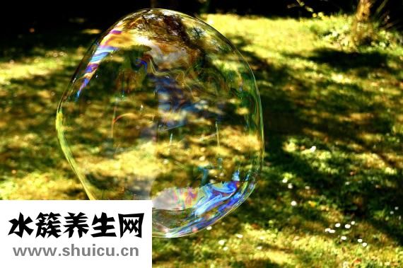 人頭蜂蟄著手怎么辦