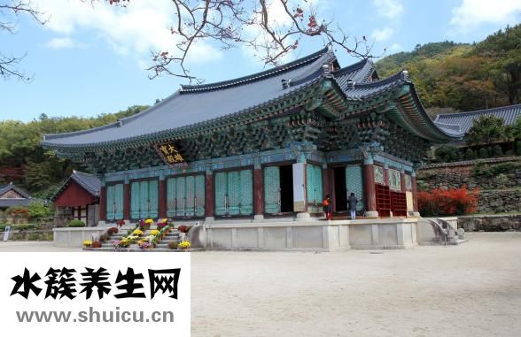 俠字怎么寫