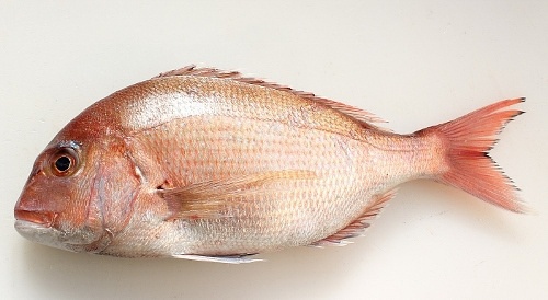鯛魚怎么做好吃，武漢出現起確診病例