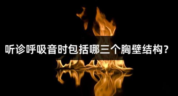 聽診呼吸音時包括哪三個胸壁結構？