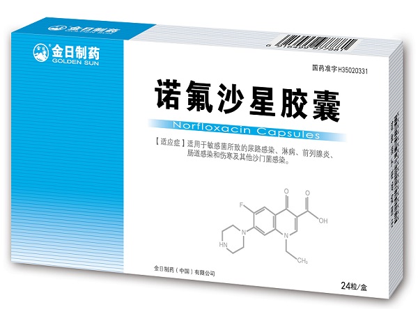 諾氟沙星膠囊說明書，諾氟沙星膠囊說明書01g