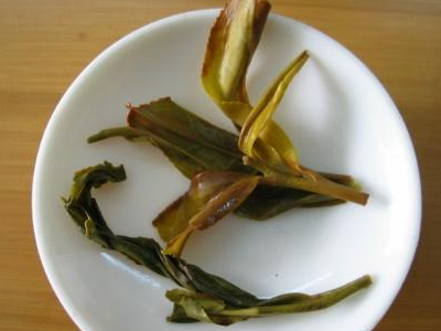 四種人不宜喝桑葉茶你好醫生糖尿病人喝什么茶有好處（四種人不宜喝桑葉茶）