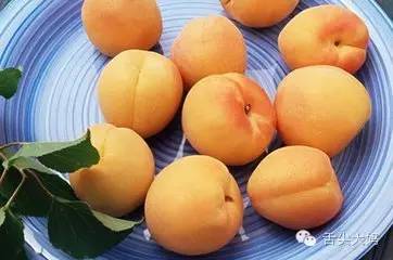 杏子的營養價值和功效與作用禁忌（杏子的營養價值和功效與作用）