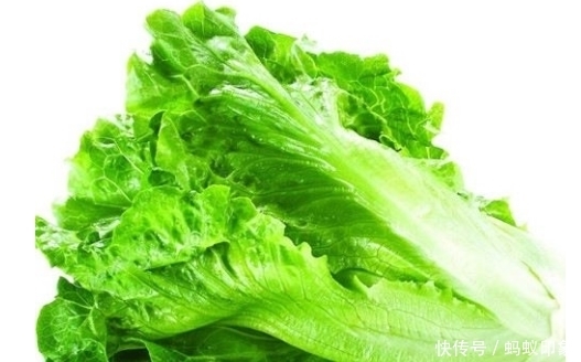 圓生菜的功效與作用（生菜的功效與作用）
