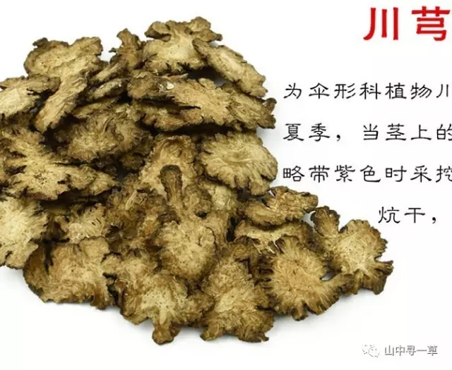 白芍的作用和功效（川芎的作用和功效）