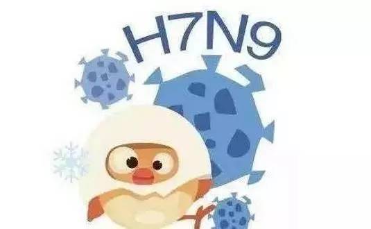 H7n9禽流感診斷標準（h7n9禽流感）