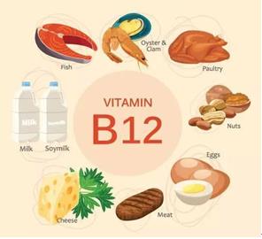 含有維生素b12的食物（維生素b12的食物）