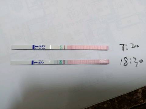 怎么判斷已經排過卵了（先排卵還是先白帶拉絲）