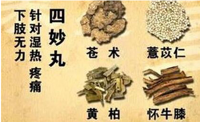 川芎牛膝的功效與作用的功能與主治（牛膝的功效與作用的功能與主治）