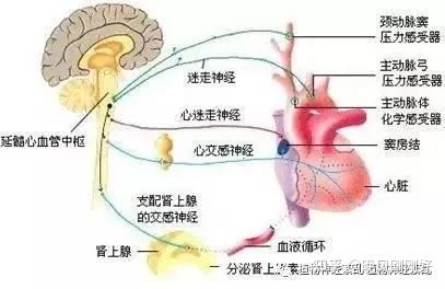 神經官能癥治愈經歷知乎（神經官能癥自愈經驗）