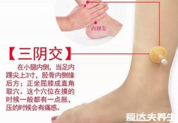 按摩三陰焦位置圖和作用（三陰焦位置圖和作用）