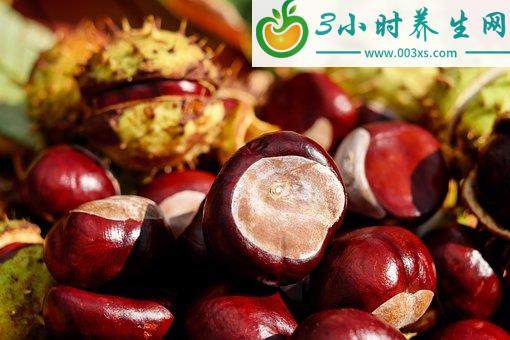 栗子的功效與禁忌（板栗的功效和禁忌）