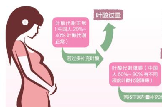 葉酸的作用與功效備孕（備孕了半年還沒懷上孩子怎么辦）