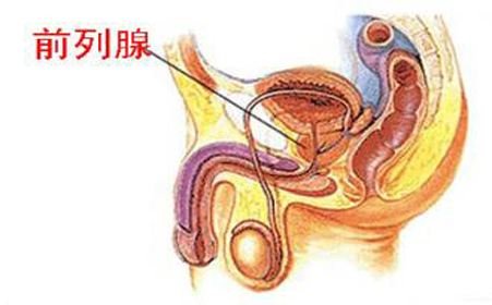 非淋菌性尿道炎的癥狀（非淋菌性尿道炎的癥狀潛伏期）