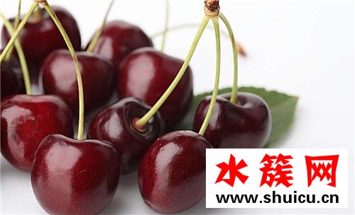 1、桂圓