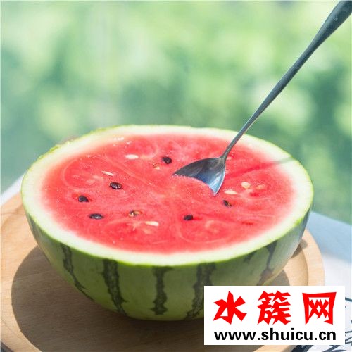 1、桂圓