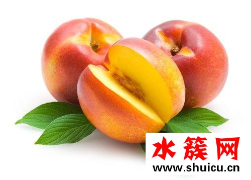 1、桂圓