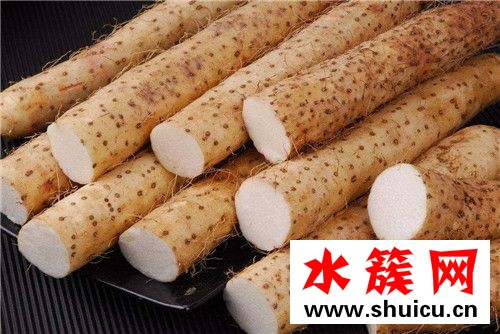 春季養生必吃十種食物