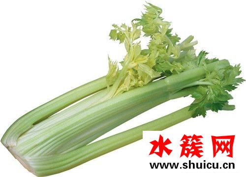 春季養生必吃十種食物