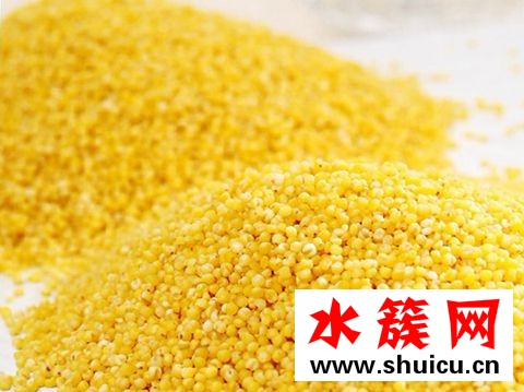 高考吃什么增加記憶力？