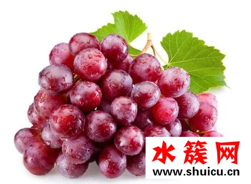 1、<u>紅棗</u>