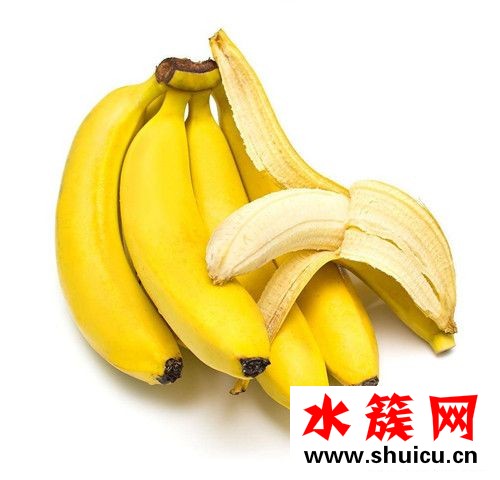 1、<u>紅棗</u>