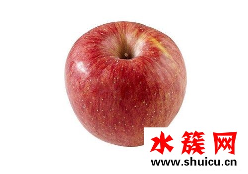 1、<u>紅棗</u>