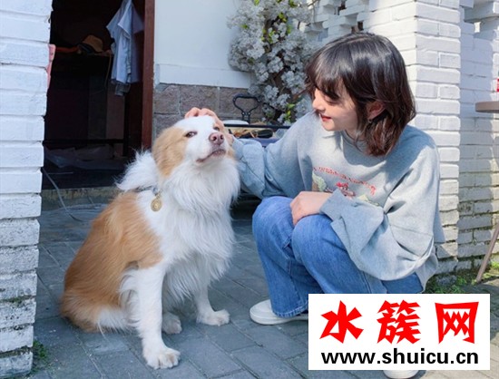 2019秋冬短發范本推薦