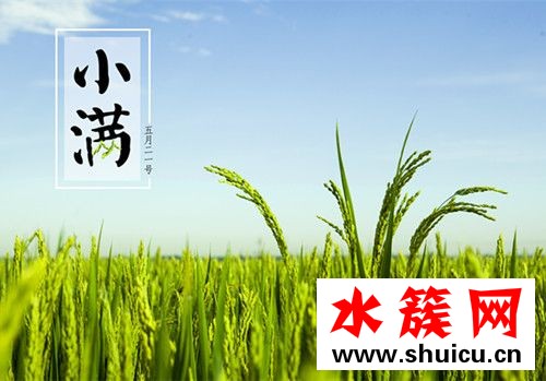 小滿節氣吃什么食物