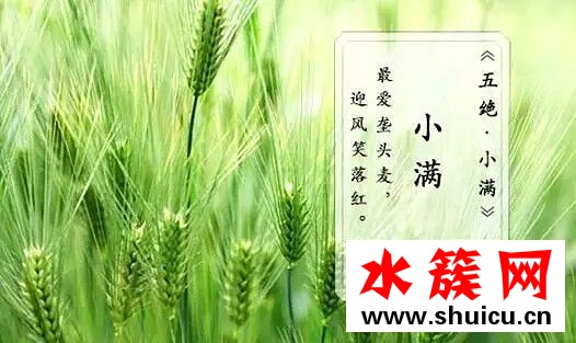 小滿節氣吃什么食物