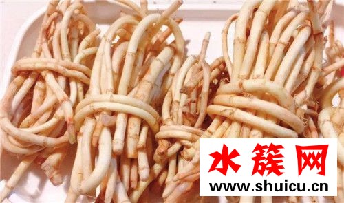 折耳根是不是發物