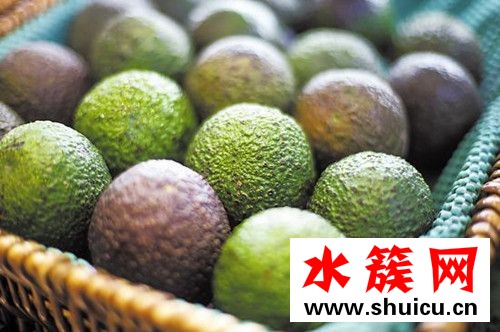 吃牛油果的最佳時間