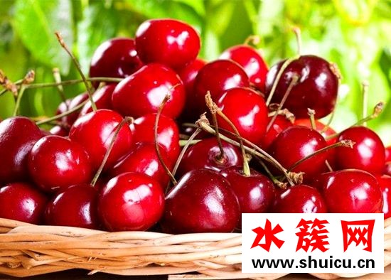 緩解痛經最有效的食物排行榜