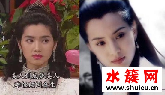 洪欣年輕時照片