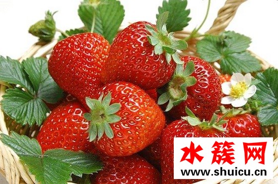 祛斑的方法有哪些，怎樣能快速祛斑