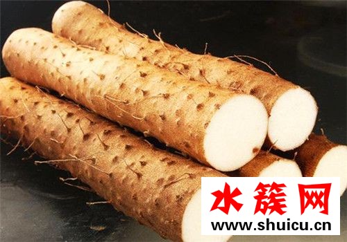 春季養生必吃十種食物
