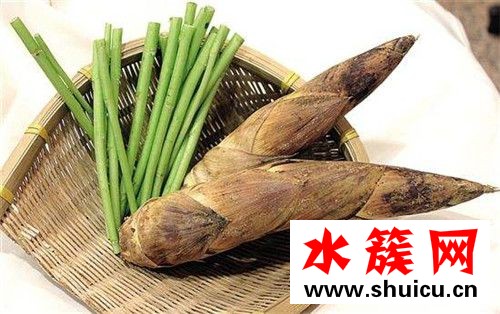春季養生必吃十種食物
