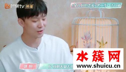 張恒鄭爽結婚計劃