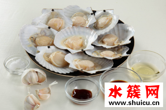 扇貝怎么清洗