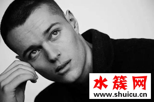 2019楊洋寸頭照片