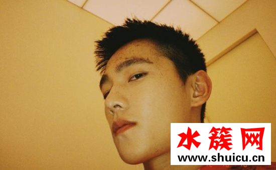 2019楊洋寸頭照片