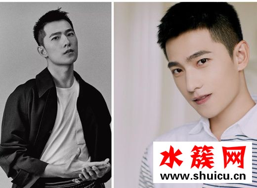 2019楊洋寸頭照片