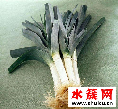 韭蔥是什么