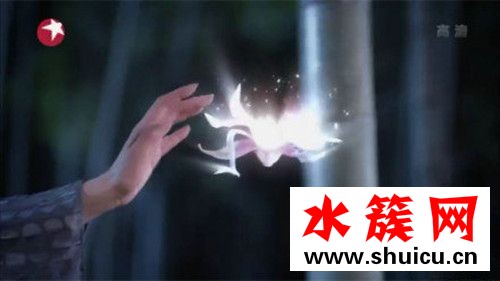 醉玲瓏十二個皇子跟十二朵奇花有什么關系？