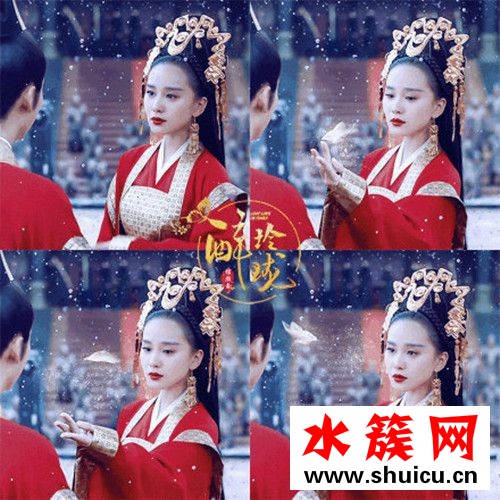 醉玲瓏十二個皇子跟十二朵奇花有什么關系？