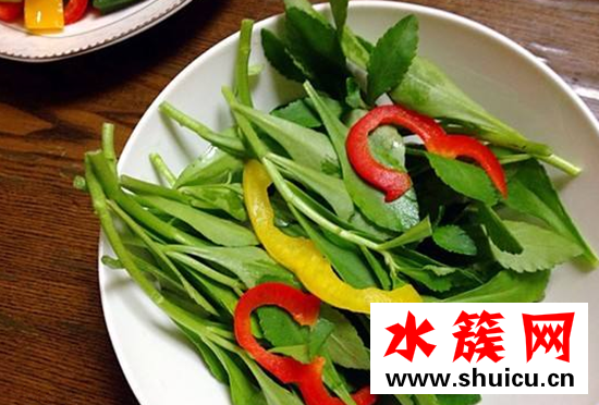 救心菜有毒嗎
