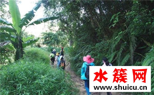 徒步能減肥嗎