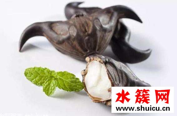 菱角孕婦能吃嗎