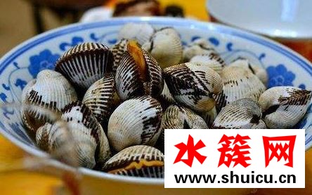 貝殼類是干垃圾嗎